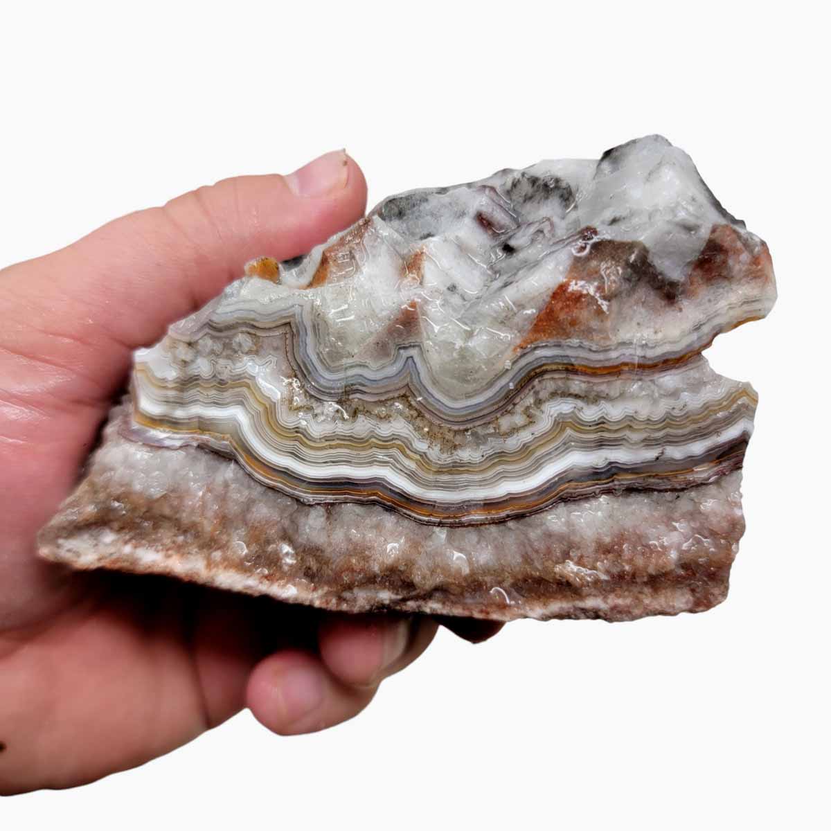 Old Vein Lace Agate Rough Chunk!