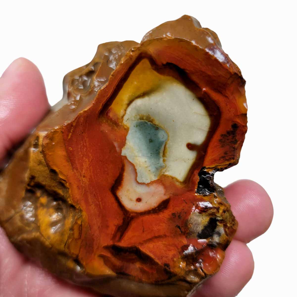 Polychrome Jasper Rough Chunk!