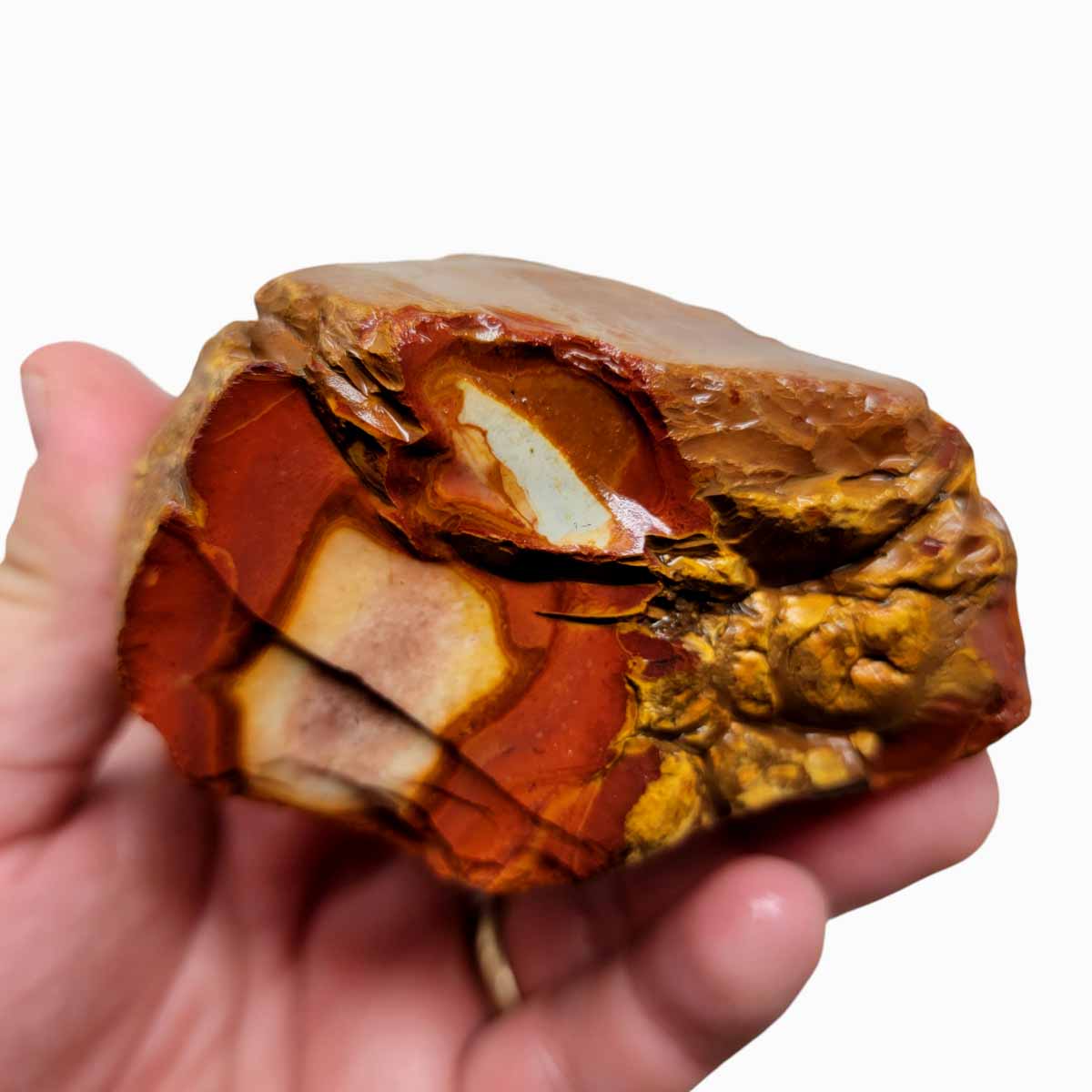 Polychrome Jasper Rough Polychrome Jasper Rough Chunk!