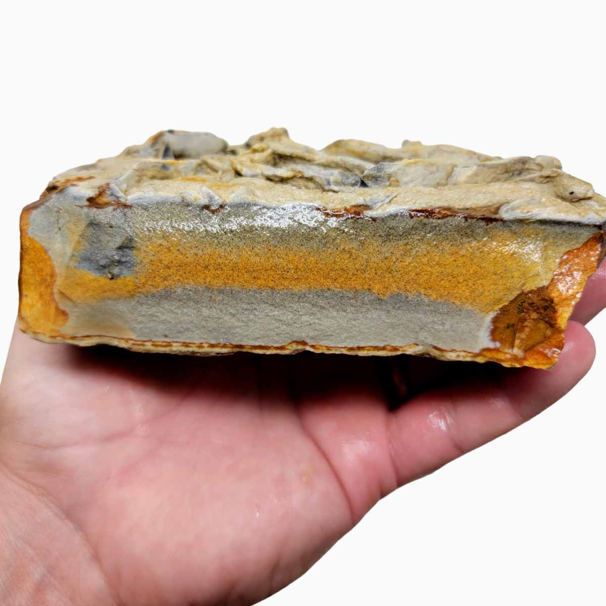 Chicken Track Picture Jasper Rough Chunk!