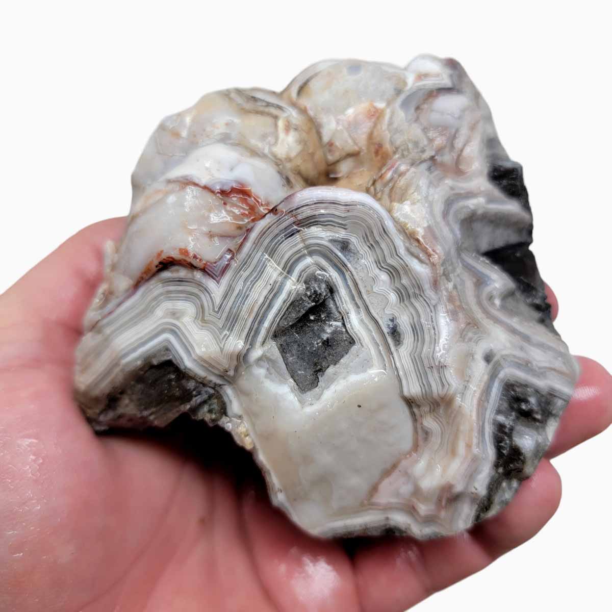 Old Vein Lace Agate Rough Chunk!