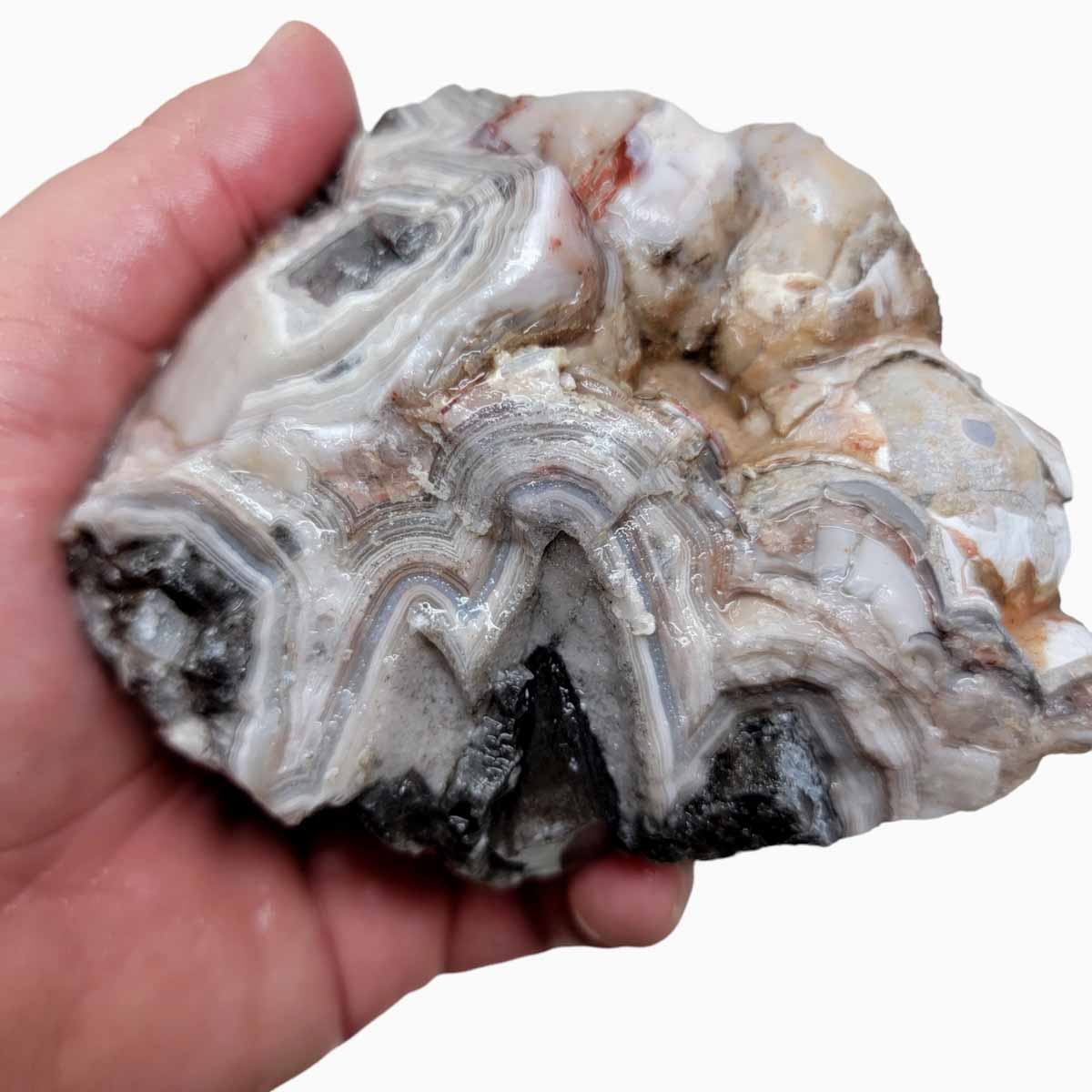 Old Vein Lace Agate Rough Chunk!