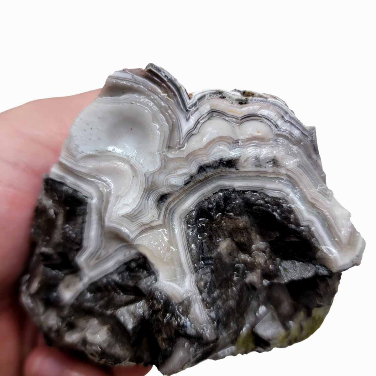 Old Vein Lace Agate Rough Chunk!