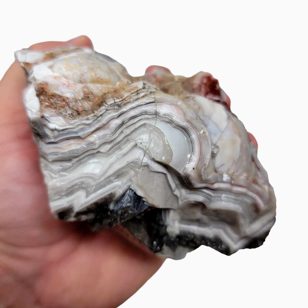 Old Vein Lace Agate Rough Chunk!