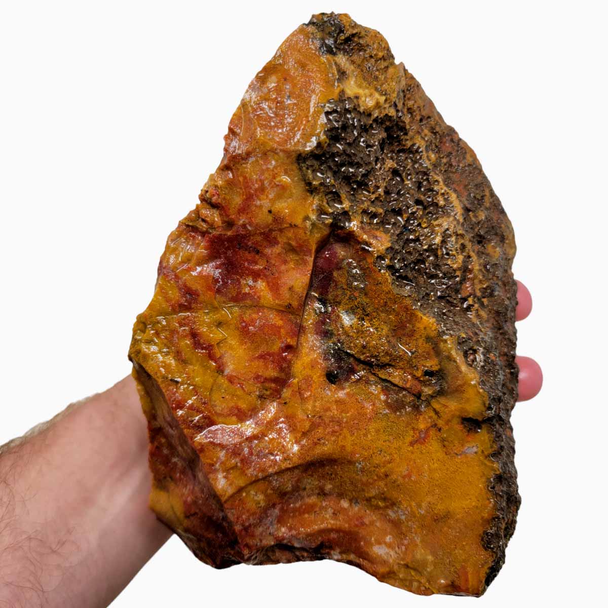 Agua Nueva Agate New Water Agate Rough Chunk!