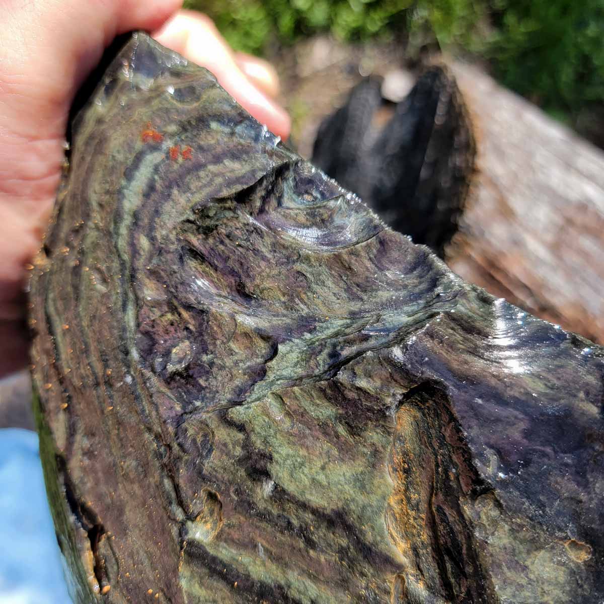 HUGE Mexican Velvet Obsidian Rough Chunk!