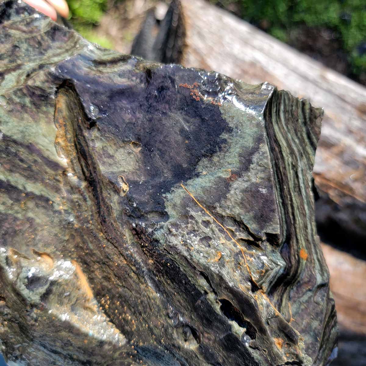 HUGE Mexican Velvet Obsidian Rough Chunk!