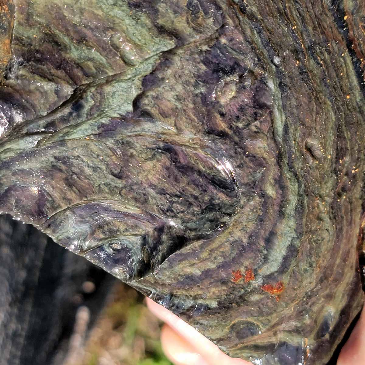 HUGE Mexican Velvet Obsidian Rough Chunk!