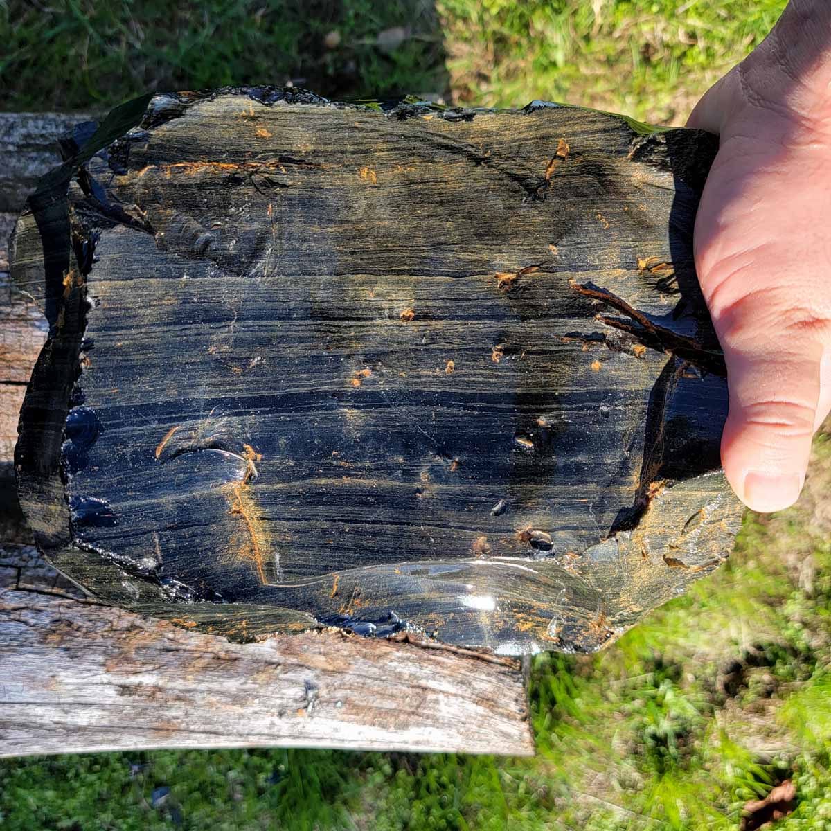 HUGE Mexican Velvet Obsidian Rough Chunk!