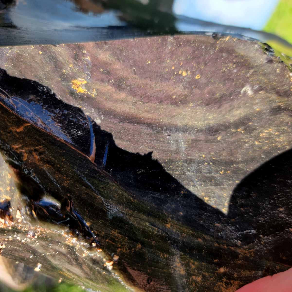 HUGE Mexican Velvet Obsidian Rough Chunk!