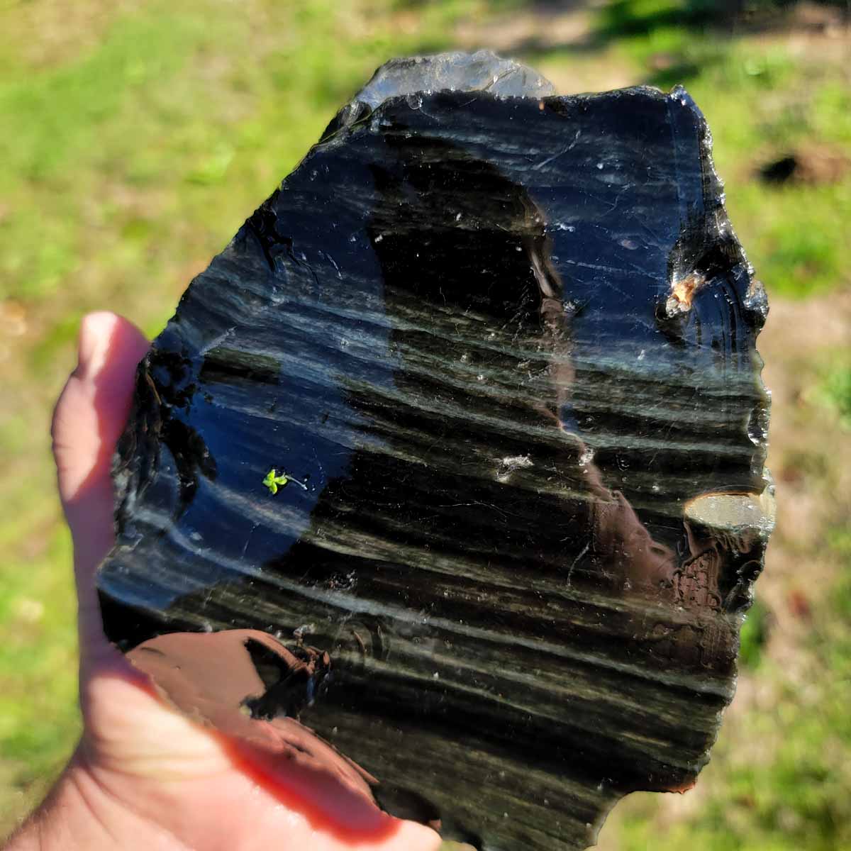 Mexican Velvet Obsidian Rough Chunk!