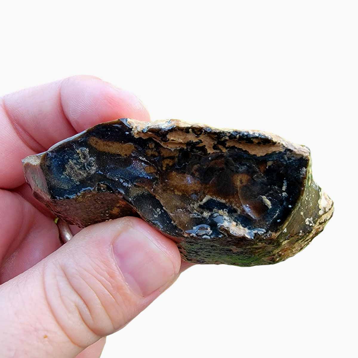 Orbicular Whisky Creek Jasper Rough Chunk!  RARE!