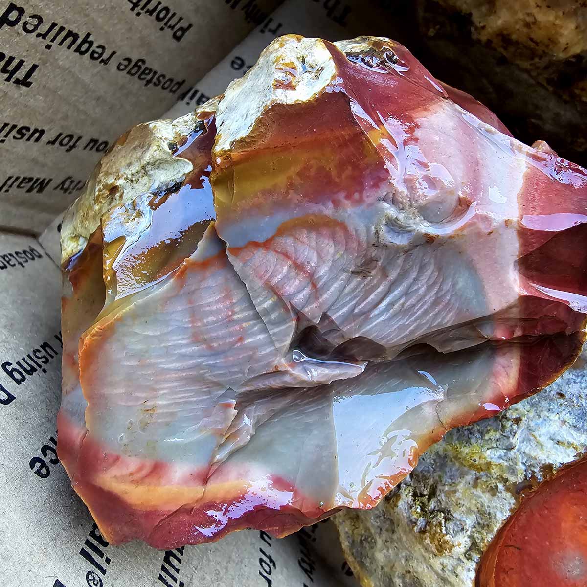 Polychrome Jasper Cutting Rough Flatrate!