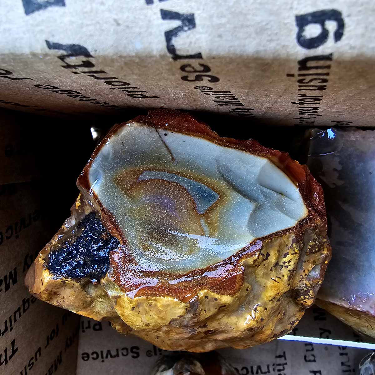 Polychrome Jasper Cutting Rough Flatrate!