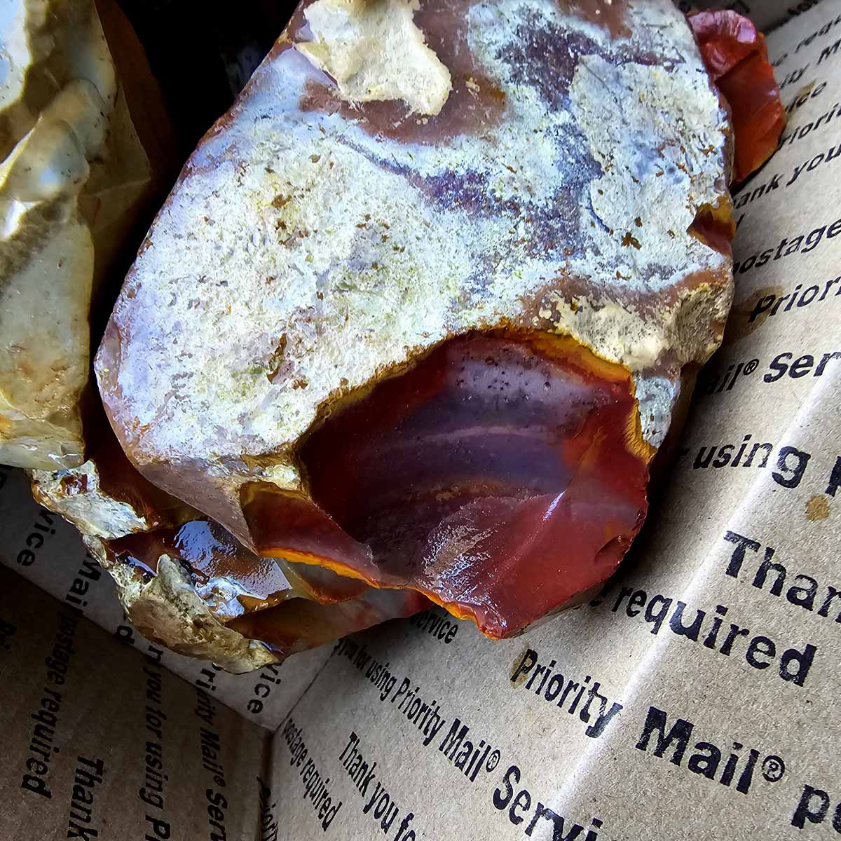 Polychrome Jasper Cutting Rough Flatrate!