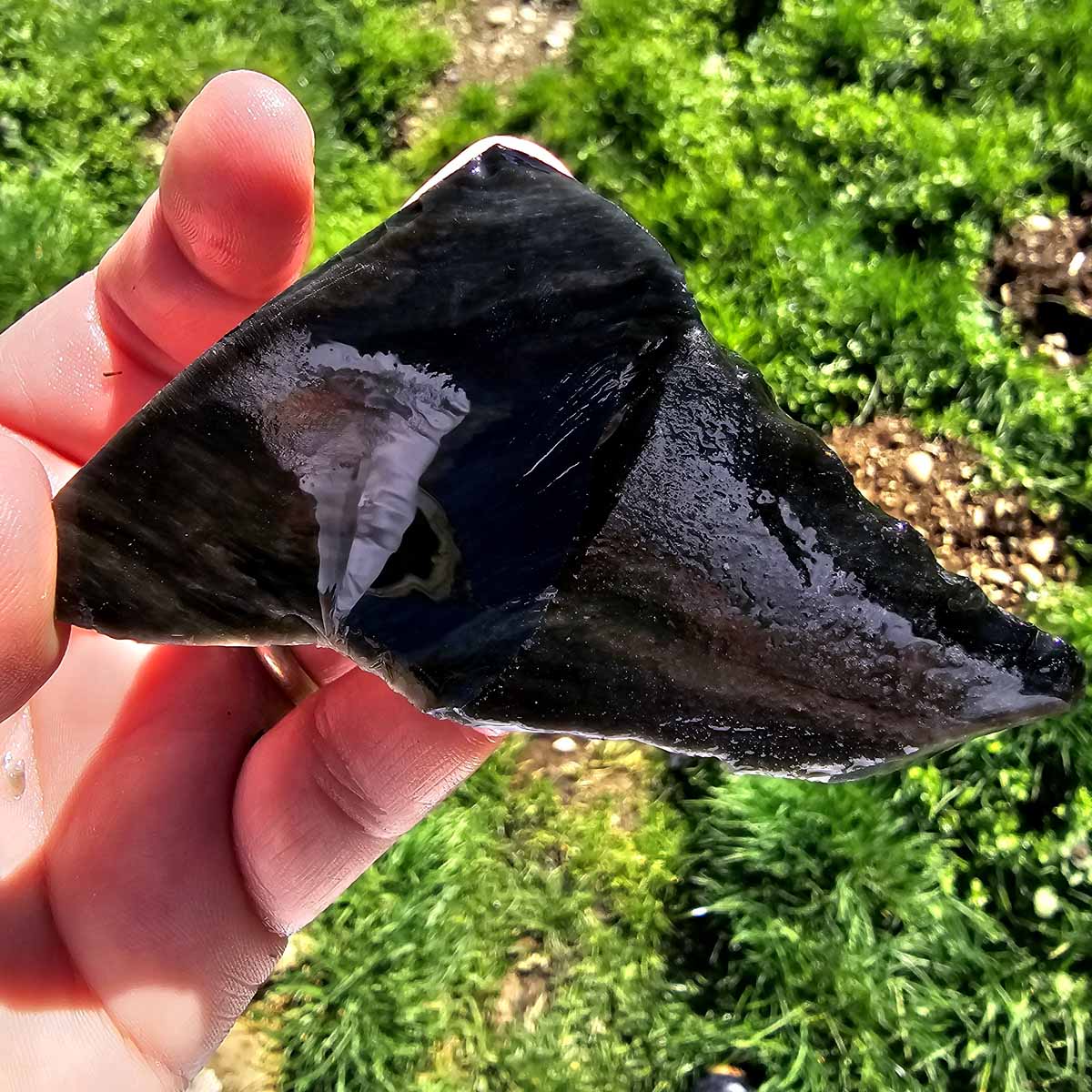 Highgrade Mexican Velvet Obsidian Rough Chunk!