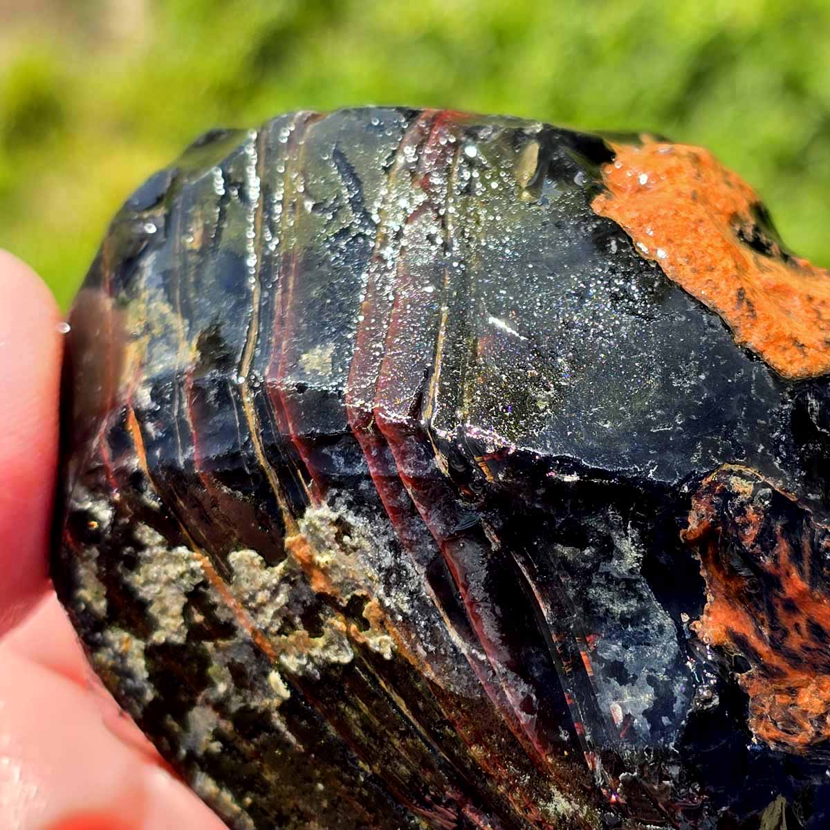 RARE Red Ribbon Obsidian Rough Chunk!