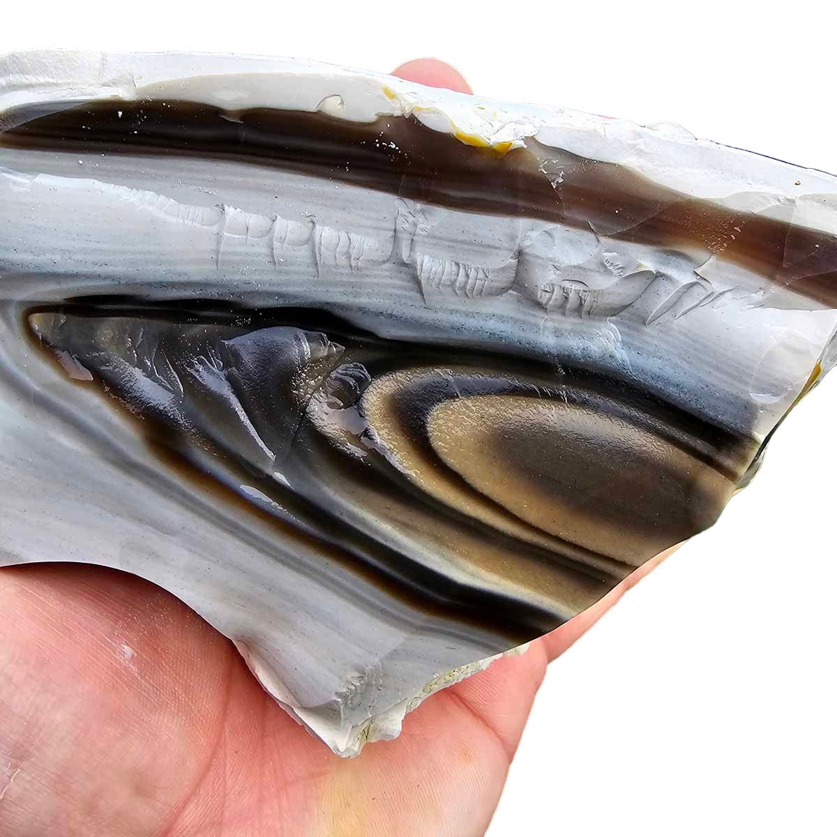 Flint With Rounded Edges RARE Polish Flint Orbicular Rough Chunk!