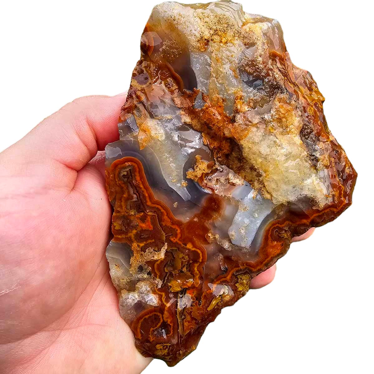 Apple Valley Agate with Plume Rough Chunk!