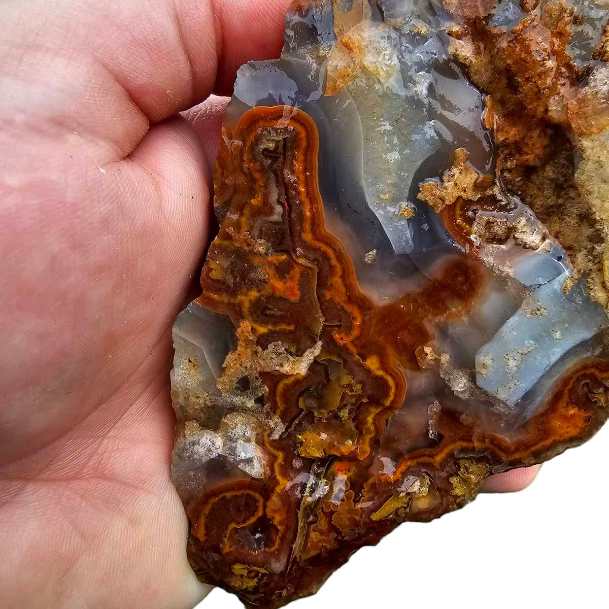 Apple Valley Agate with Plume Rough Chunk!