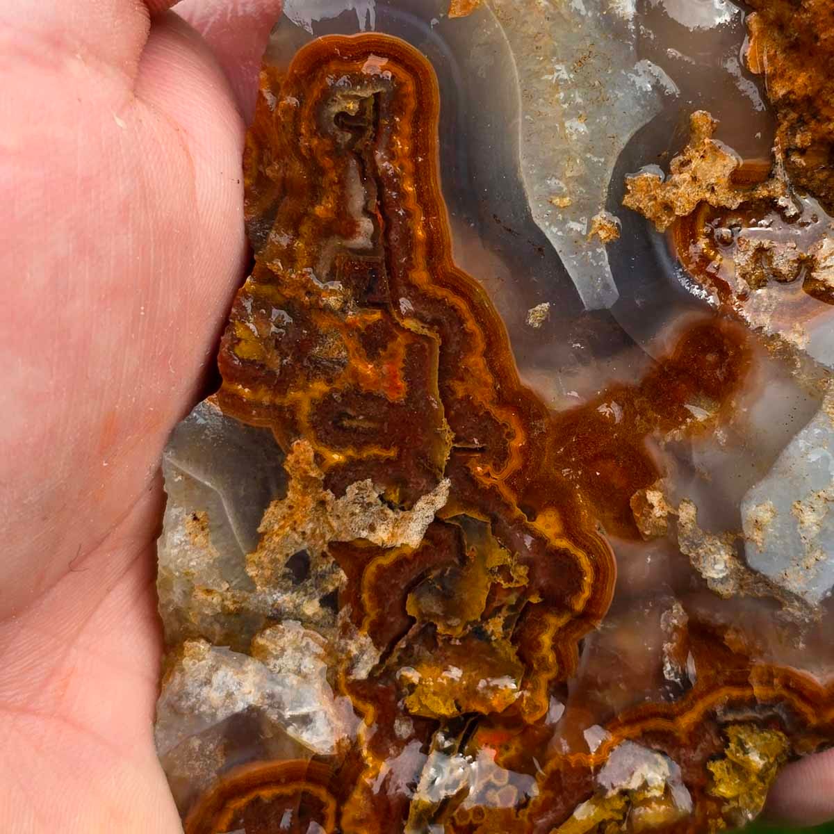 Apple Valley Agate with Plume Rough Chunk!