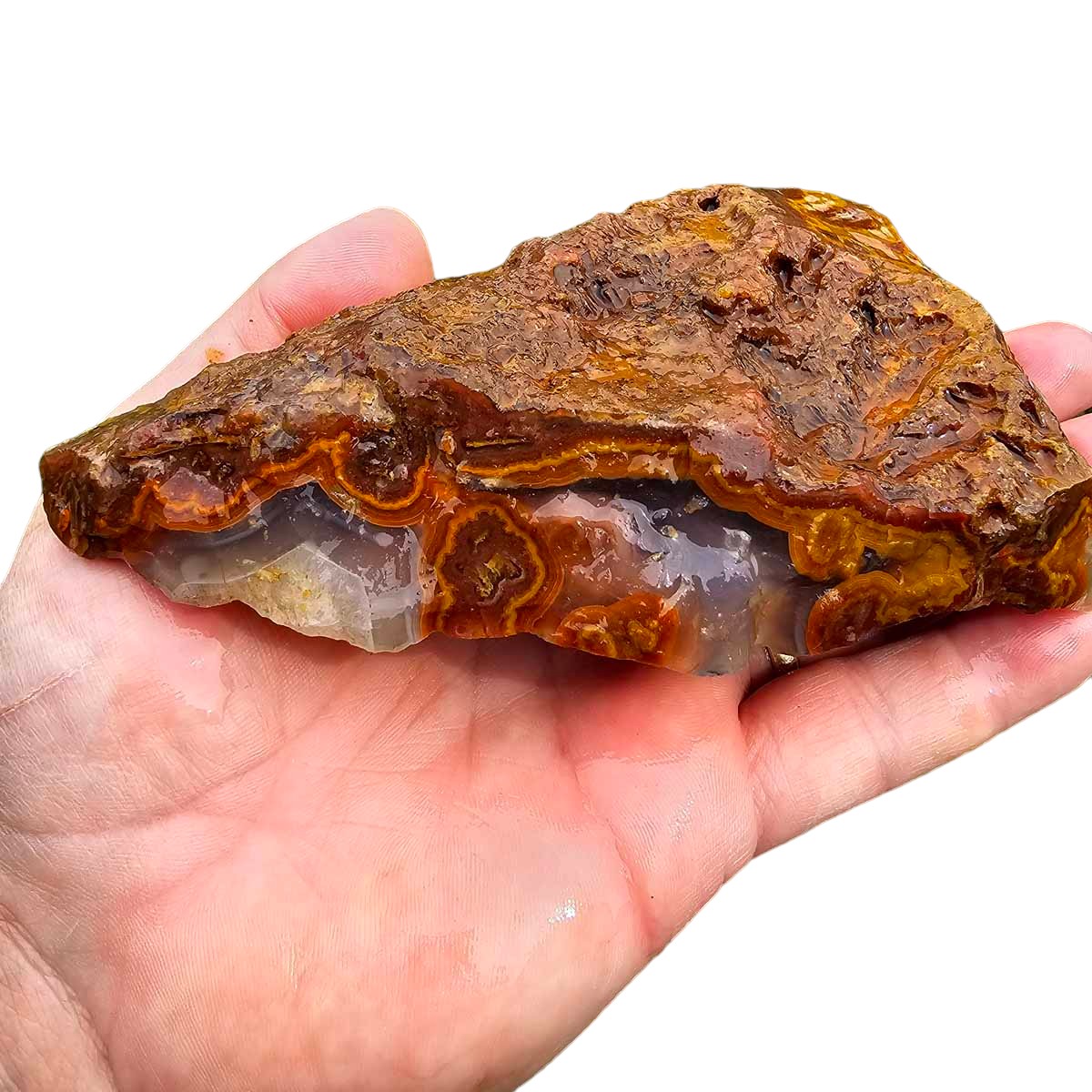 Apple Valley Agate with Plume Rough Chunk!