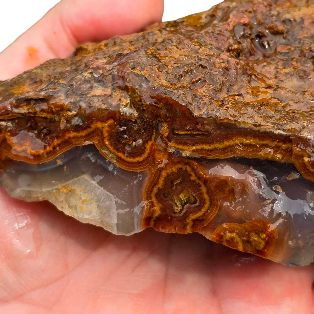 Apple Valley Agate with Plume Rough Chunk!