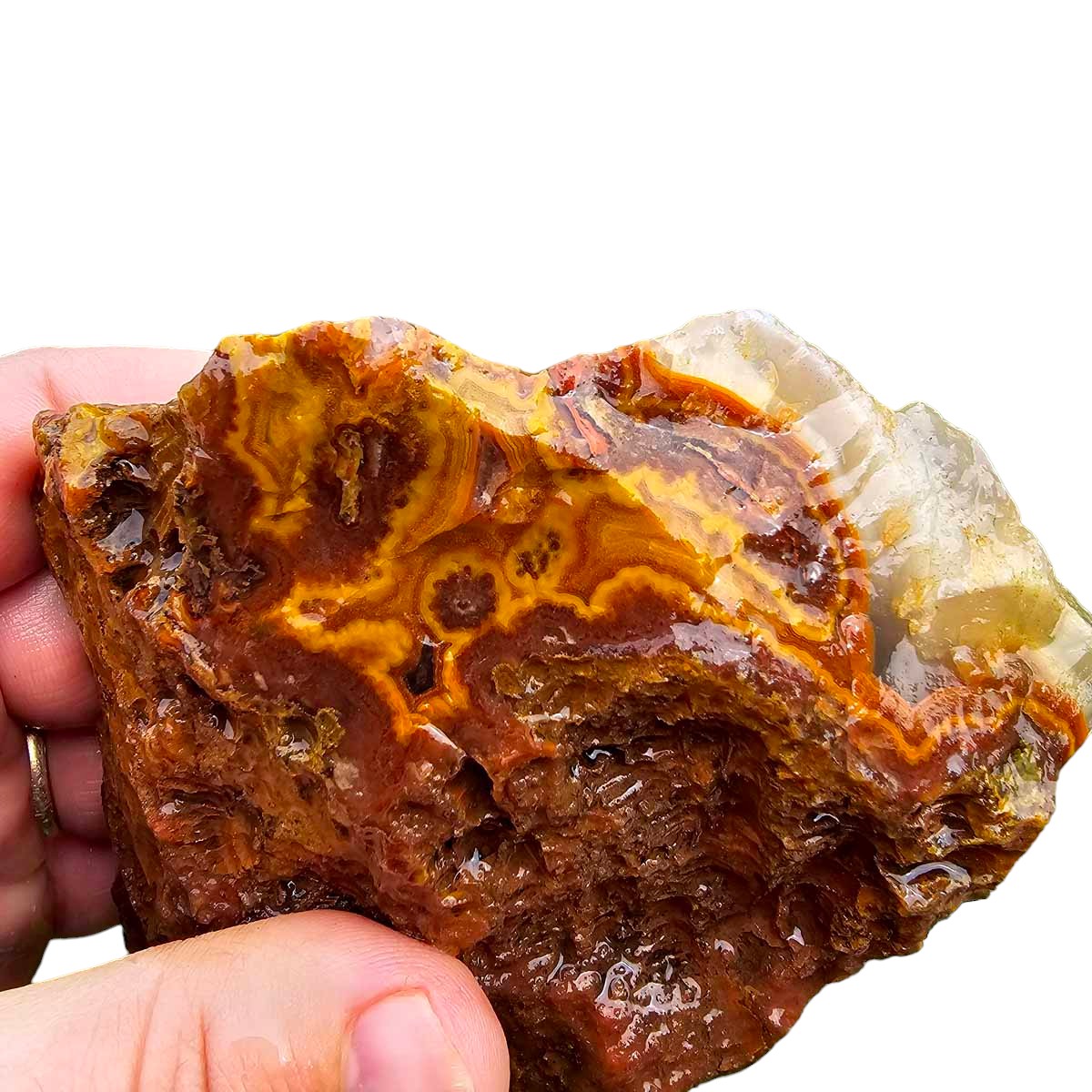 Apple Valley Agate with Plume Rough Chunk!