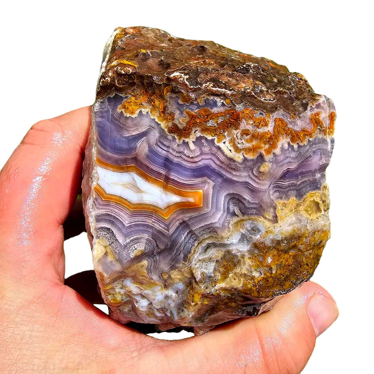 High Grade Select Agua Nueva Agate New Water Agate Rough Chunk!