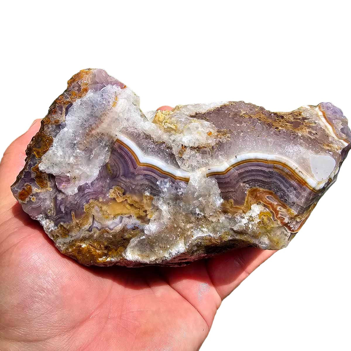 High Grade Select Agua Nueva Agate New Water Agate Rough Chunk!