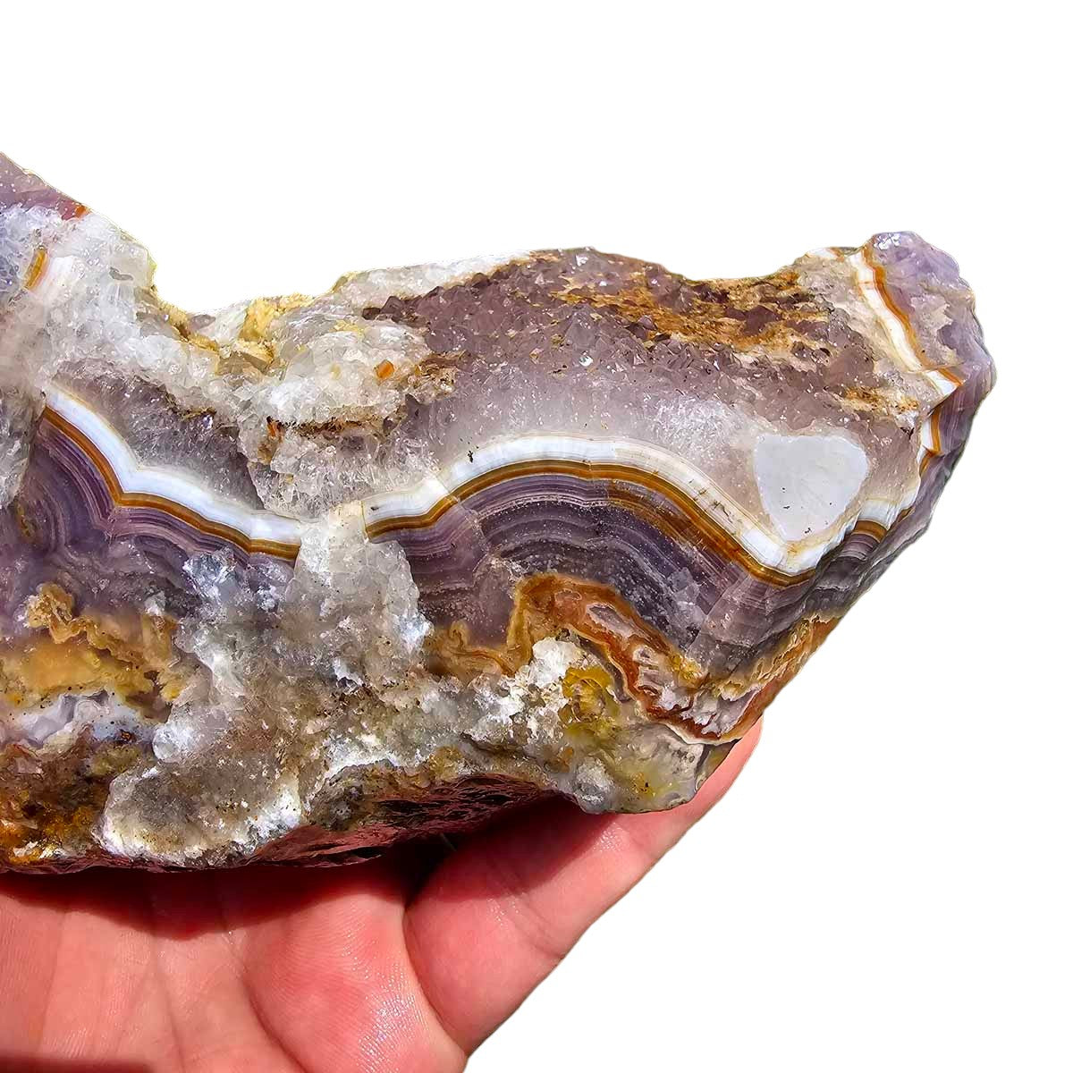 High Grade Select Agua Nueva Agate New Water Agate Rough Chunk!