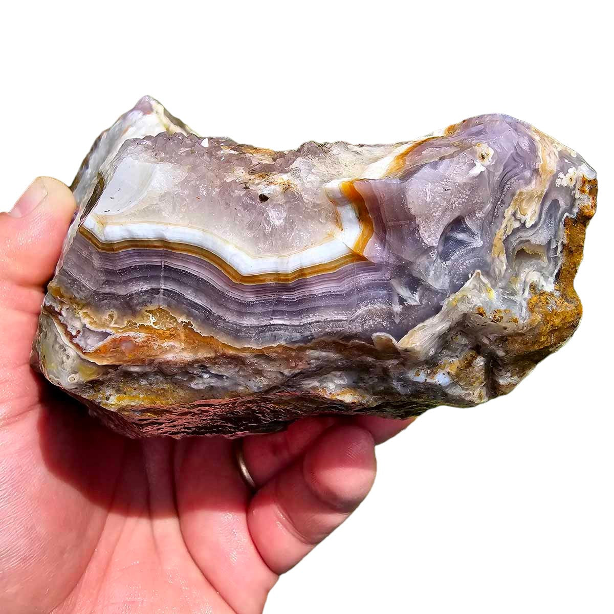 High Grade Select Agua Nueva Agate New Water Agate Rough Chunk!