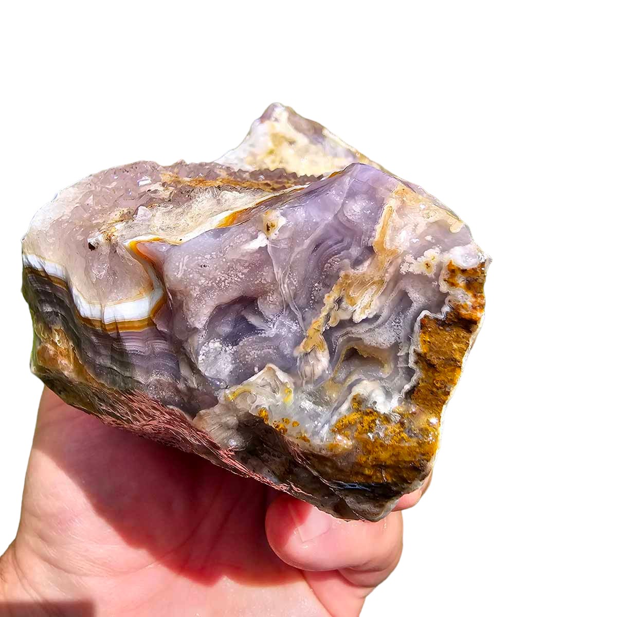 High Grade Select Agua Nueva Agate New Water Agate Rough Chunk!