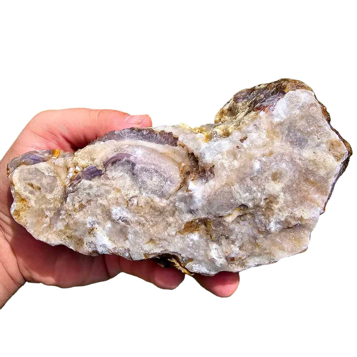 High Grade Select Agua Nueva Agate New Water Agate Rough Chunk!