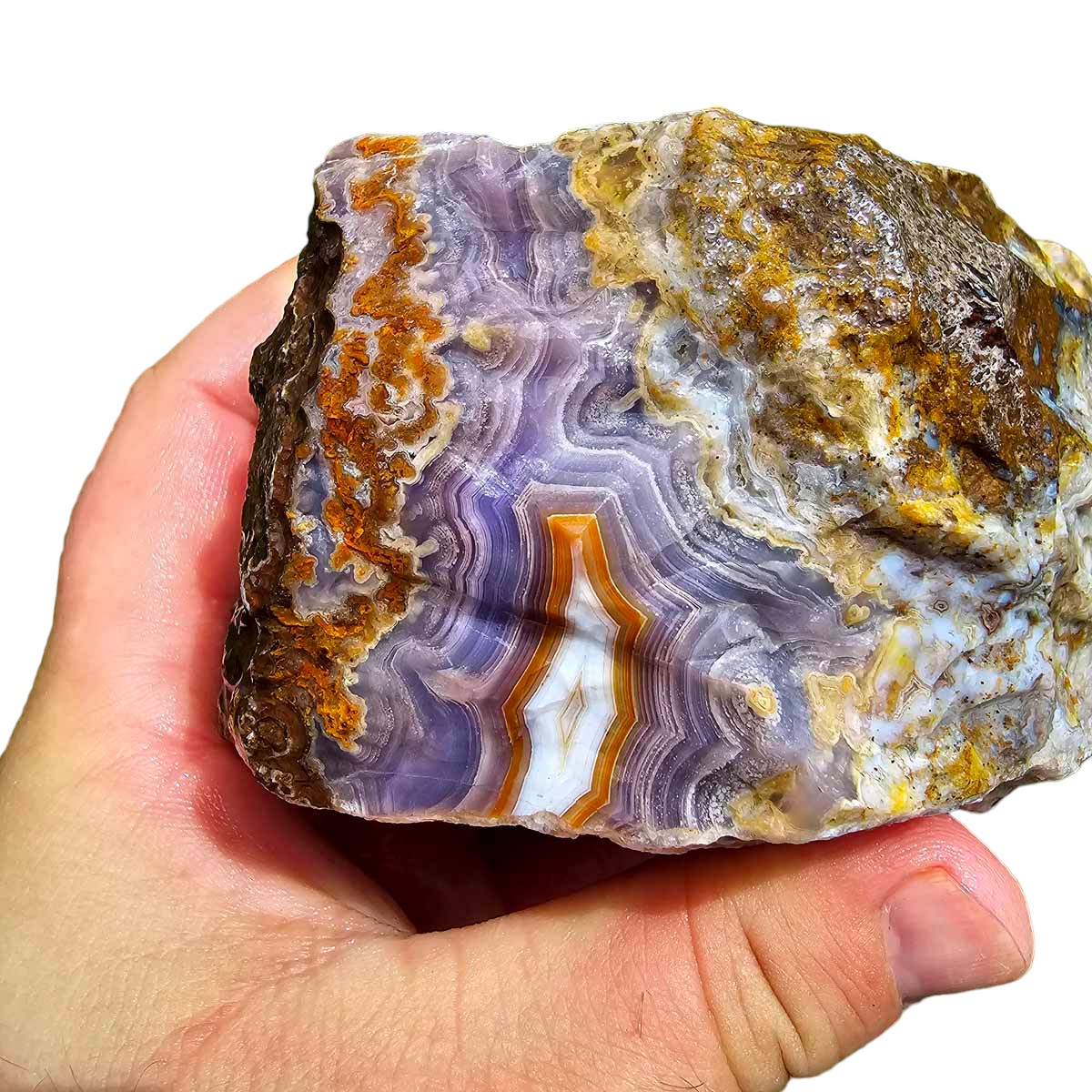 High Grade Select Agua Nueva Agate New Water Agate Rough Chunk!