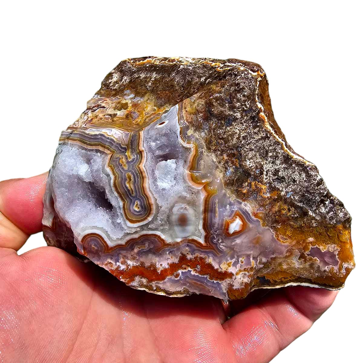 High Grade Select Agua Nueva Agate New Water Agate Rough Chunk!