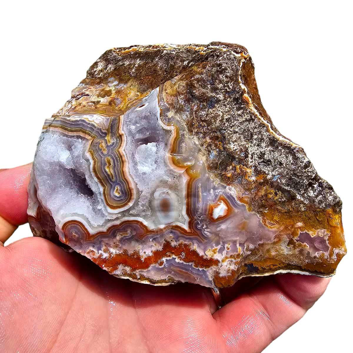 High Grade Select Agua Nueva Agate New Water Agate Rough Chunk!