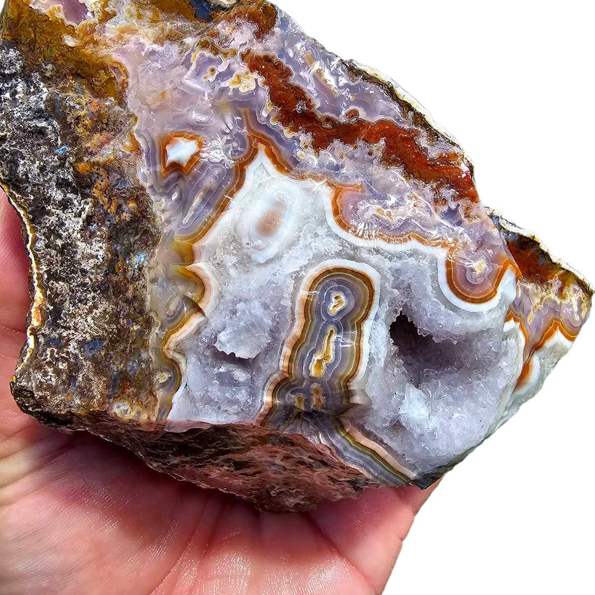 High Grade Select Agua Nueva Agate New Water Agate Rough Chunk!