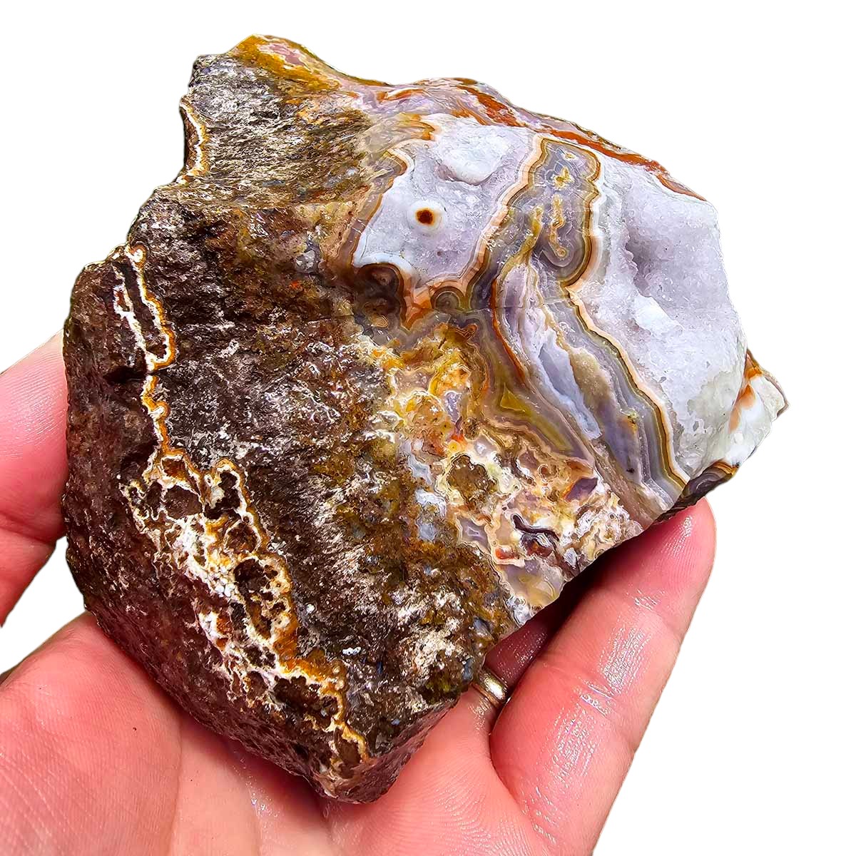 High Grade Select Agua Nueva Agate New Water Agate Rough Chunk!