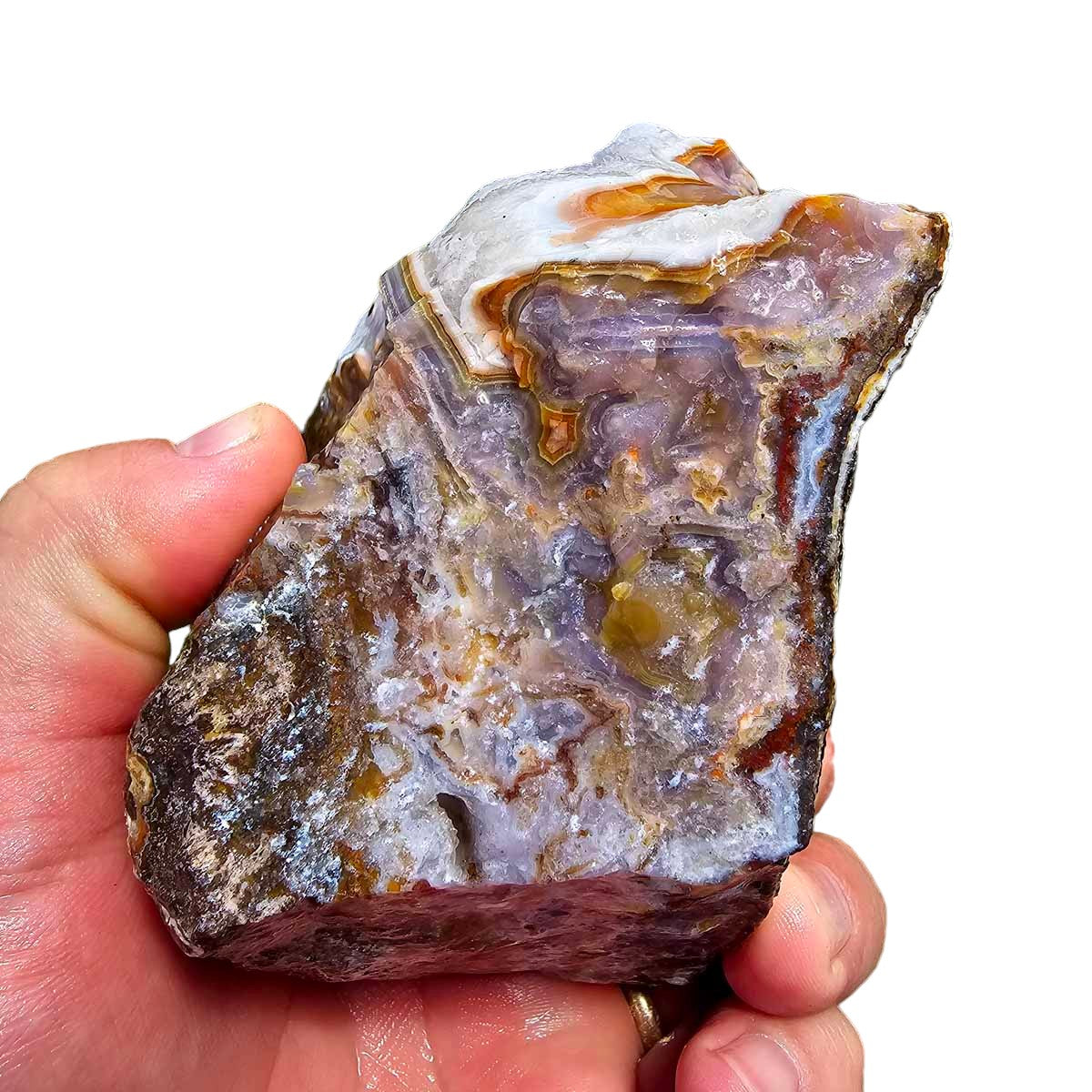 High Grade Select Agua Nueva Agate New Water Agate Rough Chunk!