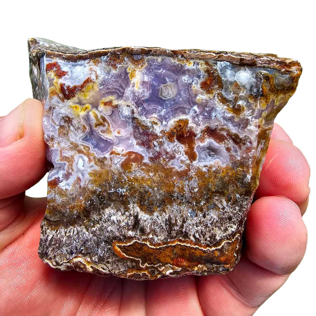 High Grade Select Agua Nueva Agate New Water Agate Rough Chunk!