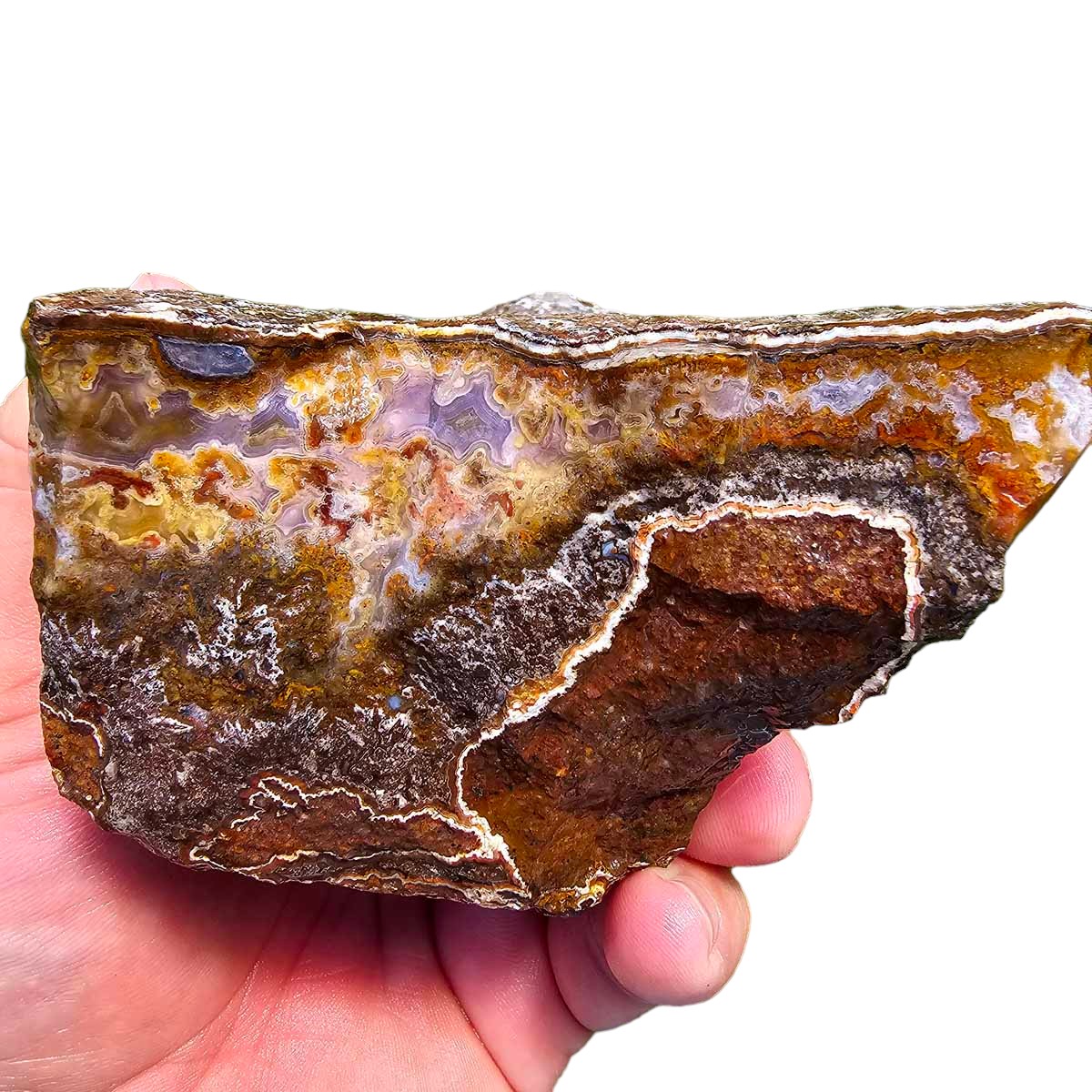 High Grade Select Agua Nueva Agate New Water Agate Rough Chunk!