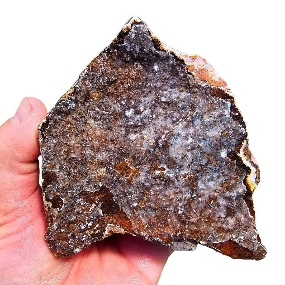 High Grade Select Agua Nueva Agate New Water Agate Rough Chunk!