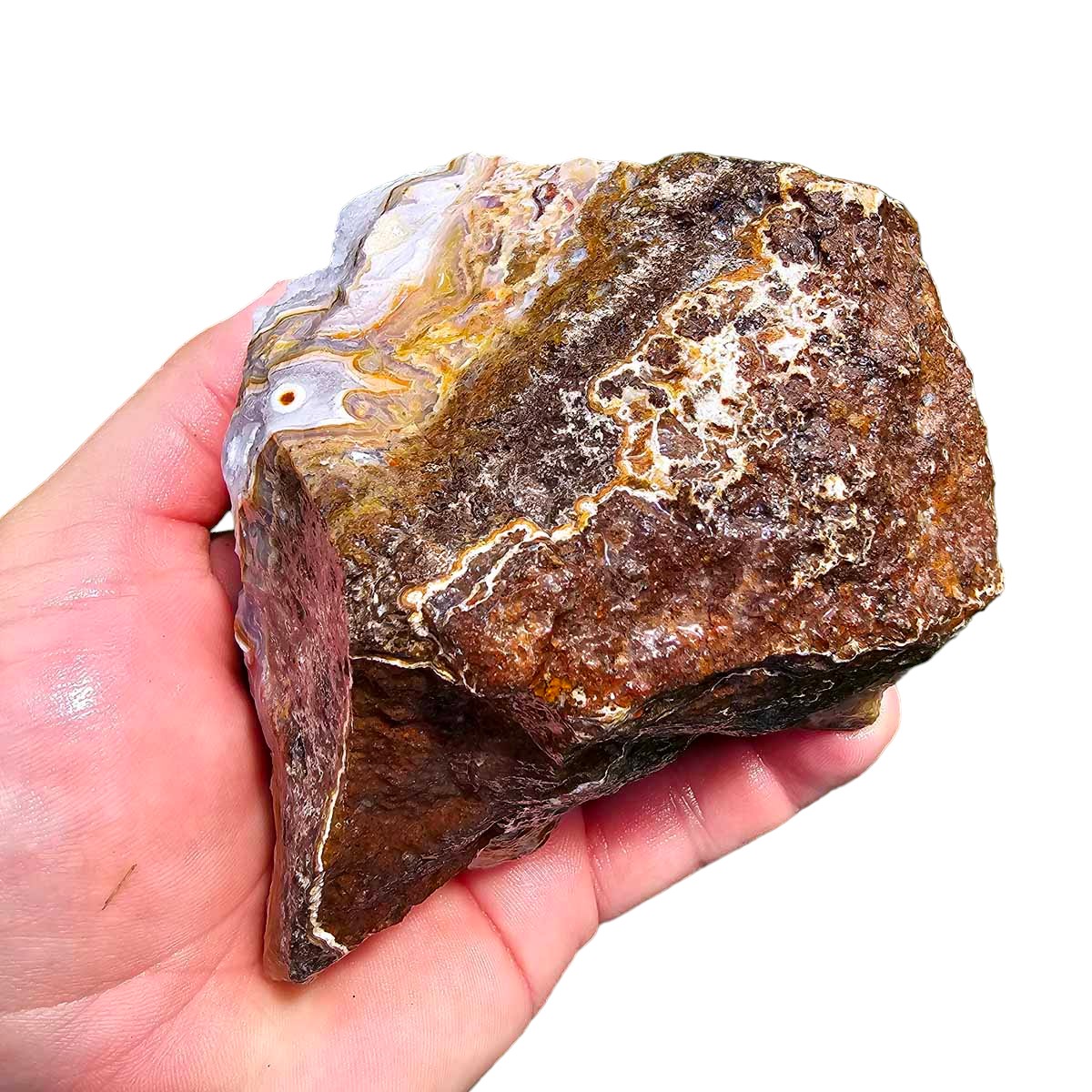 High Grade Select Agua Nueva Agate New Water Agate Rough Chunk!