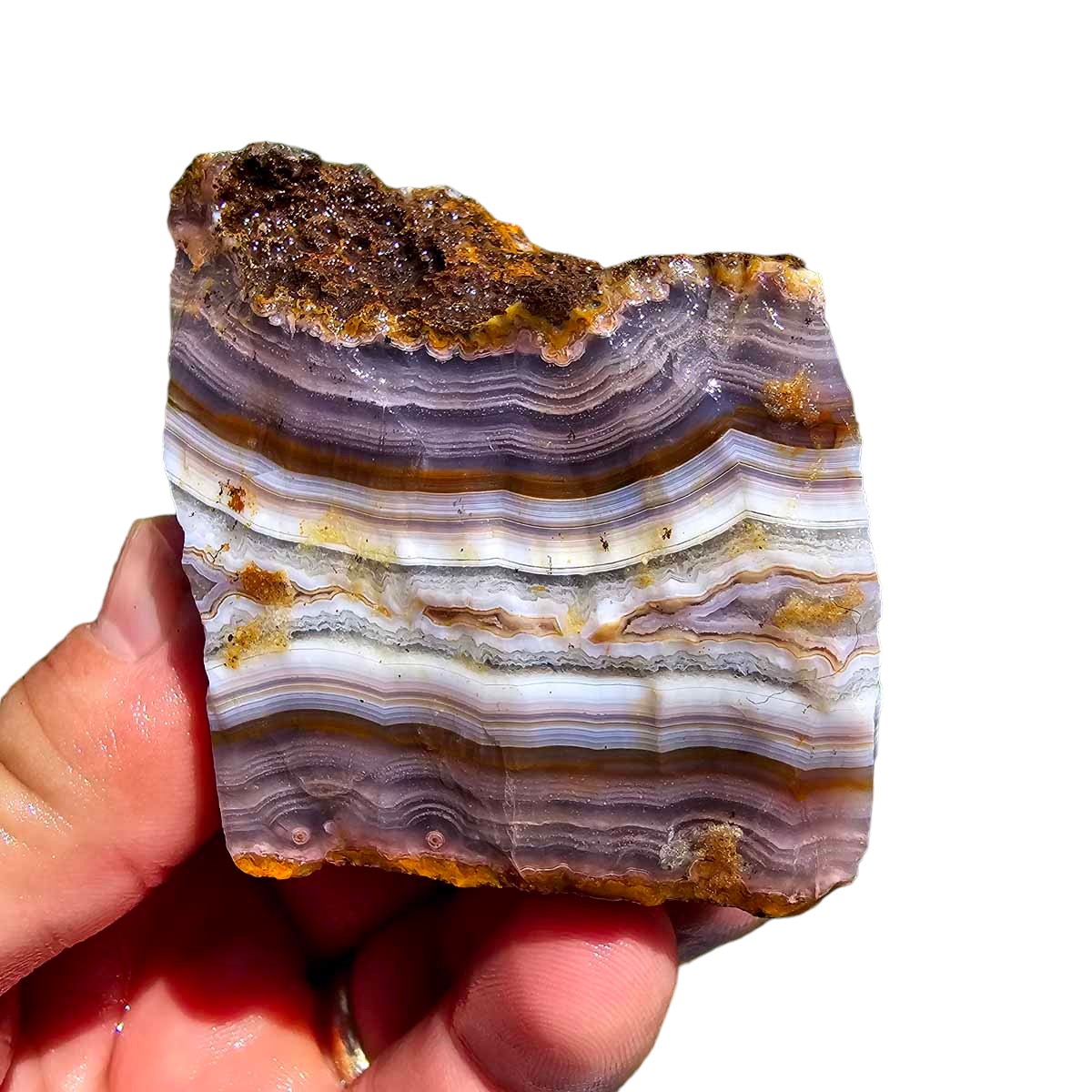 High Grade Select Agua Nueva Agate New Water Agate Rough Chunk!