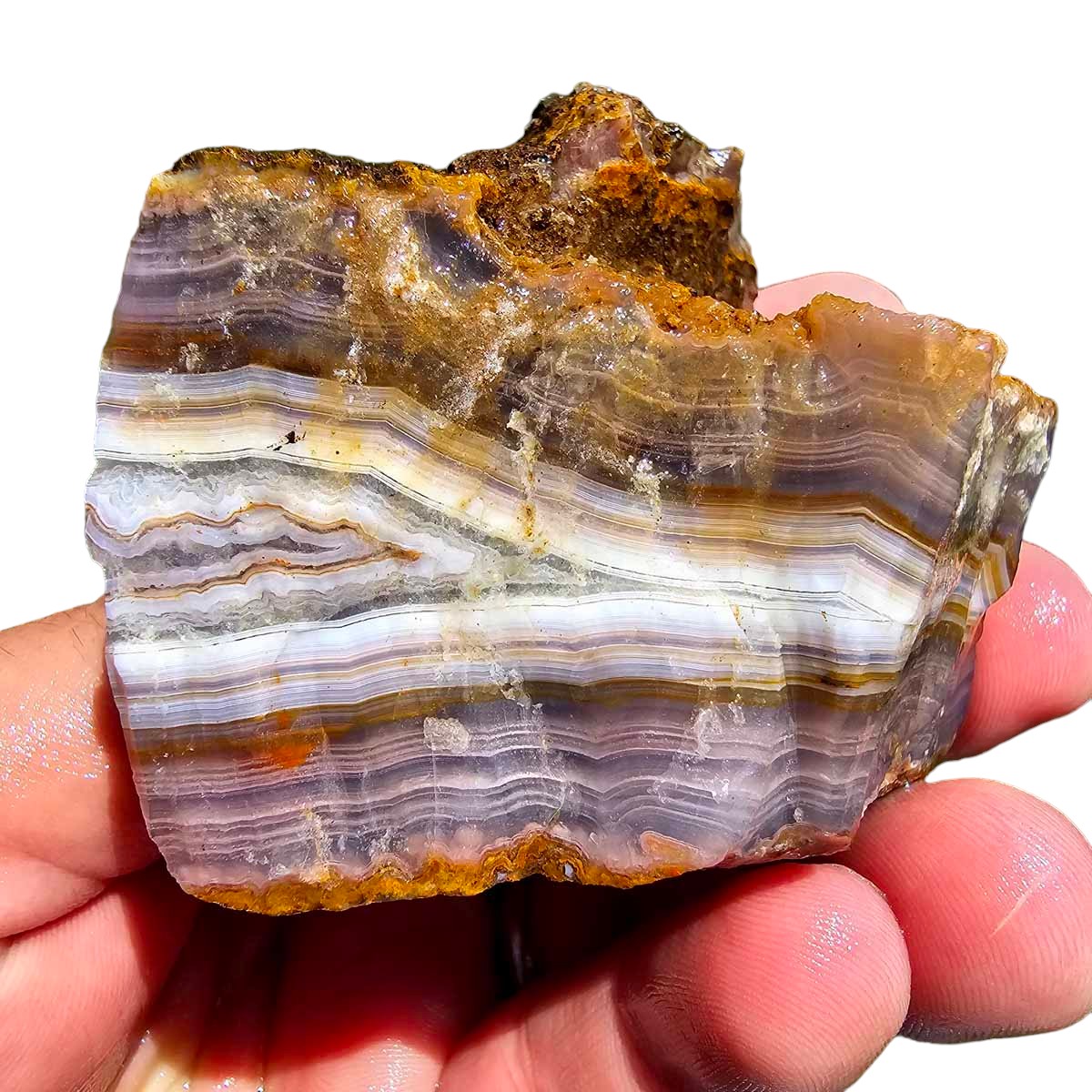 High Grade Select Agua Nueva Agate New Water Agate Rough Chunk!