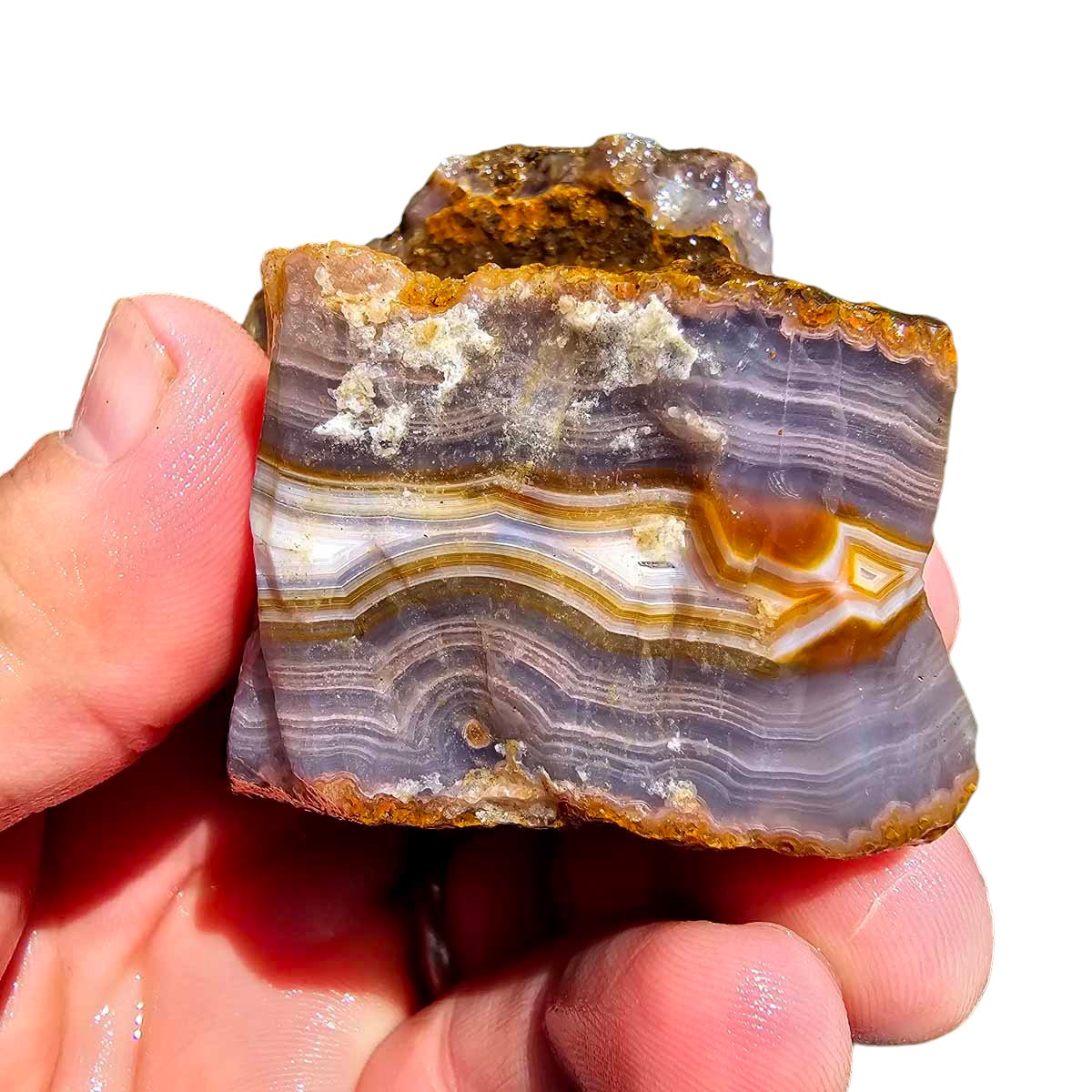 High Grade Select Agua Nueva Agate New Water Agate Rough Chunk!