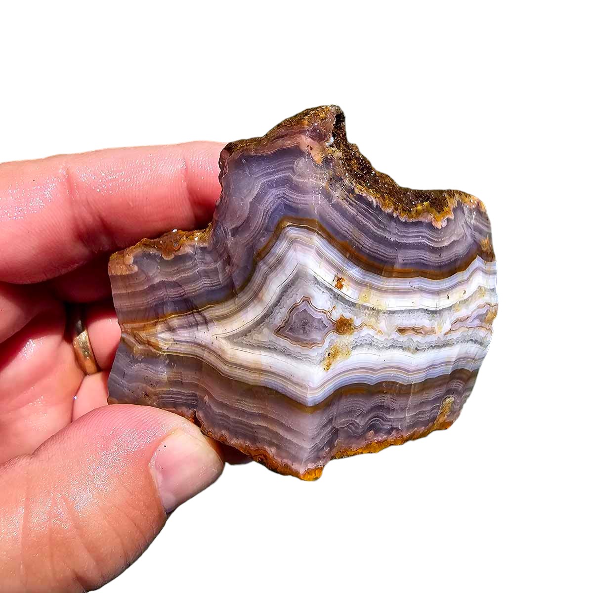 High Grade Select Agua Nueva Agate New Water Agate Rough Chunk!