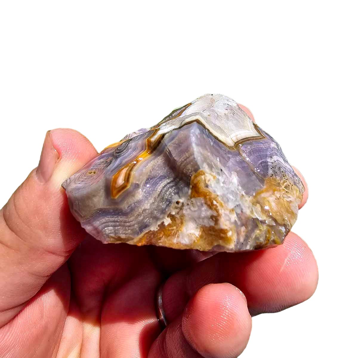 High Grade Select Agua Nueva Agate New Water Agate Rough Chunk!