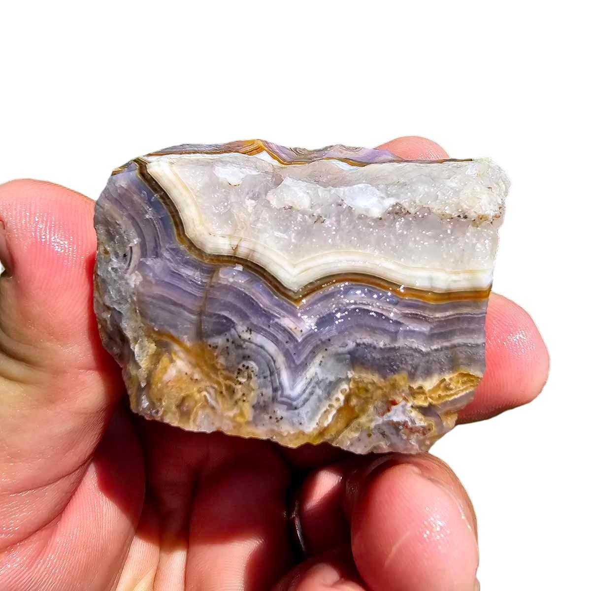 High Grade Select Agua Nueva Agate New Water Agate Rough Chunk!